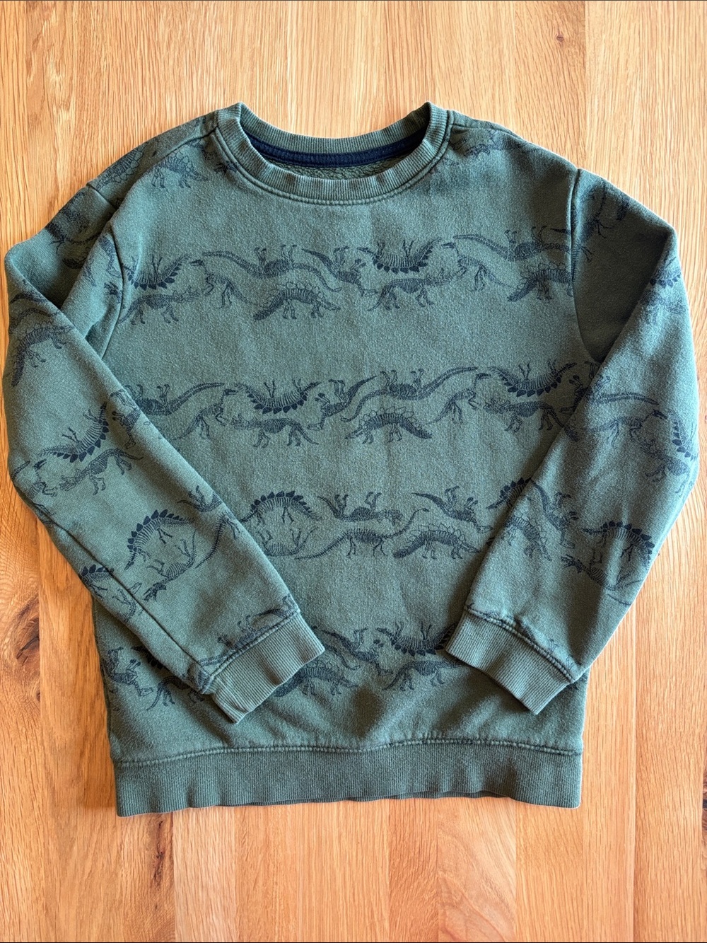 Cat & Jack Olive Green Crewneck Sweater with Dark Dino Print